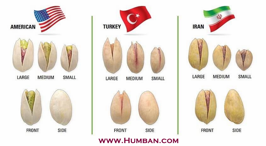 Differences between Iranian pistachios and vs American California pistachios vs Turkish-Pistachios