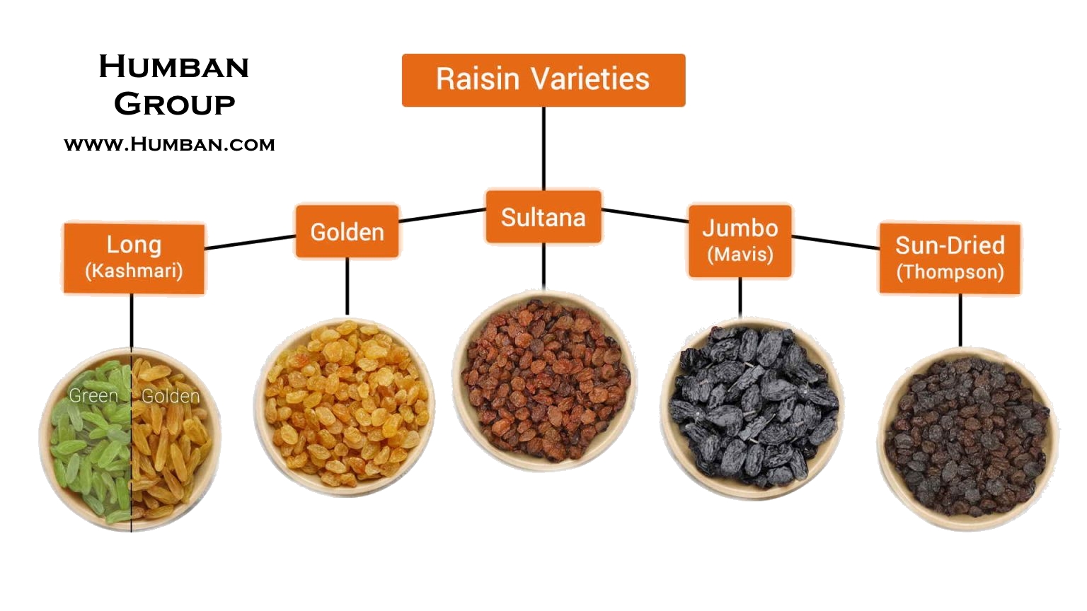 raisins sultanas types