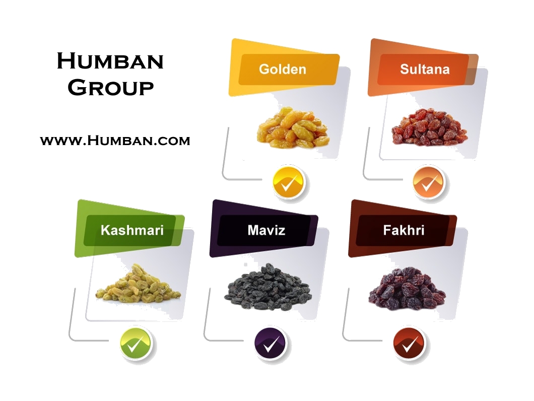 Raisins -varieties Humban