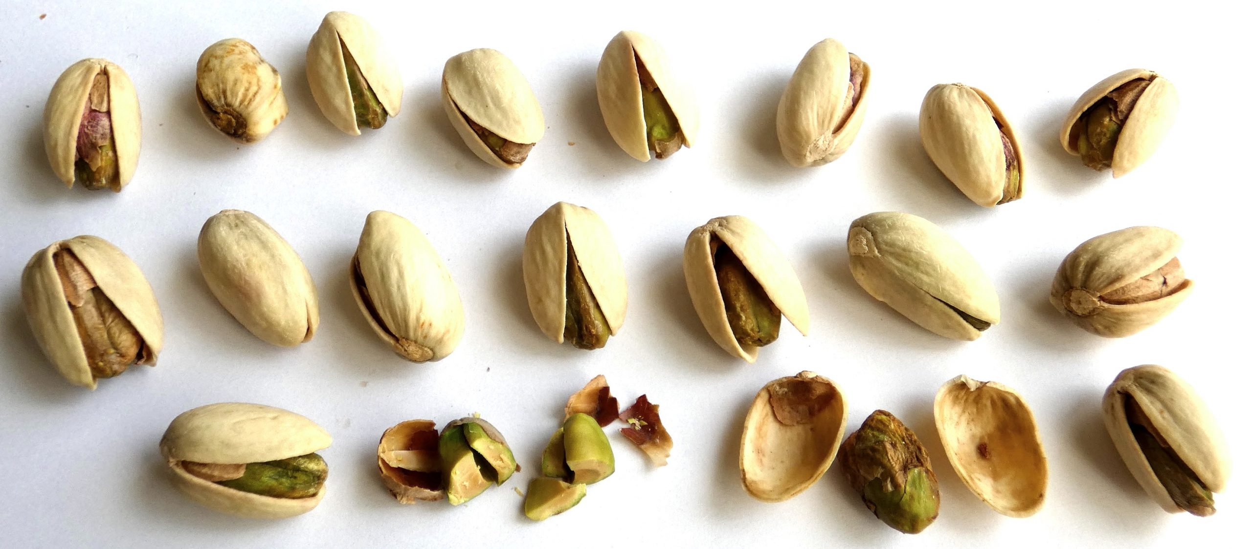 Humban Pistachio All Types California Pistachios Iranian Pistachios Turkish HumBan Nuts Pistachio