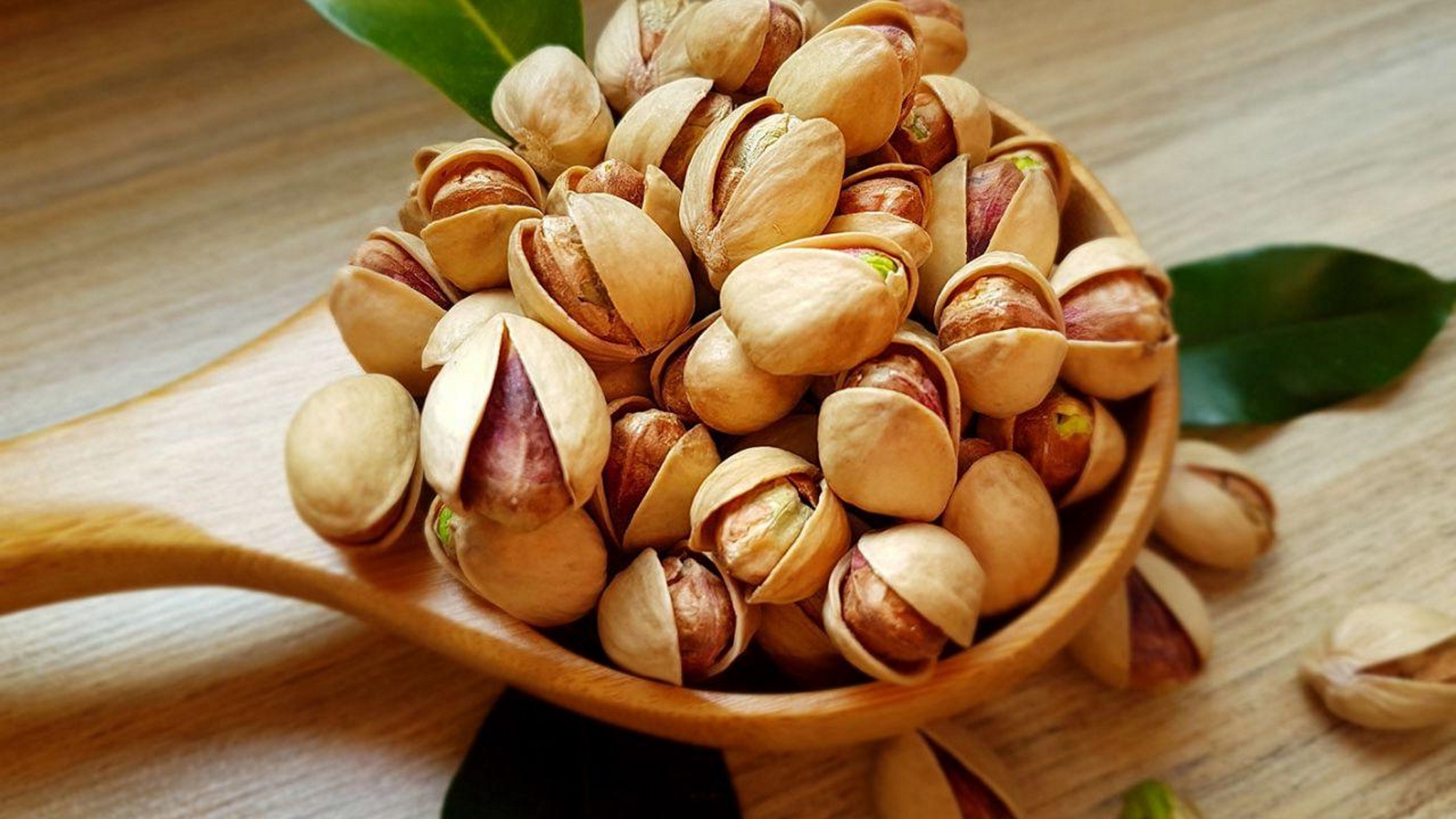 Humban Pistachio Wholesale in India Best USA Pistachio Iranian Pistachio Supplier