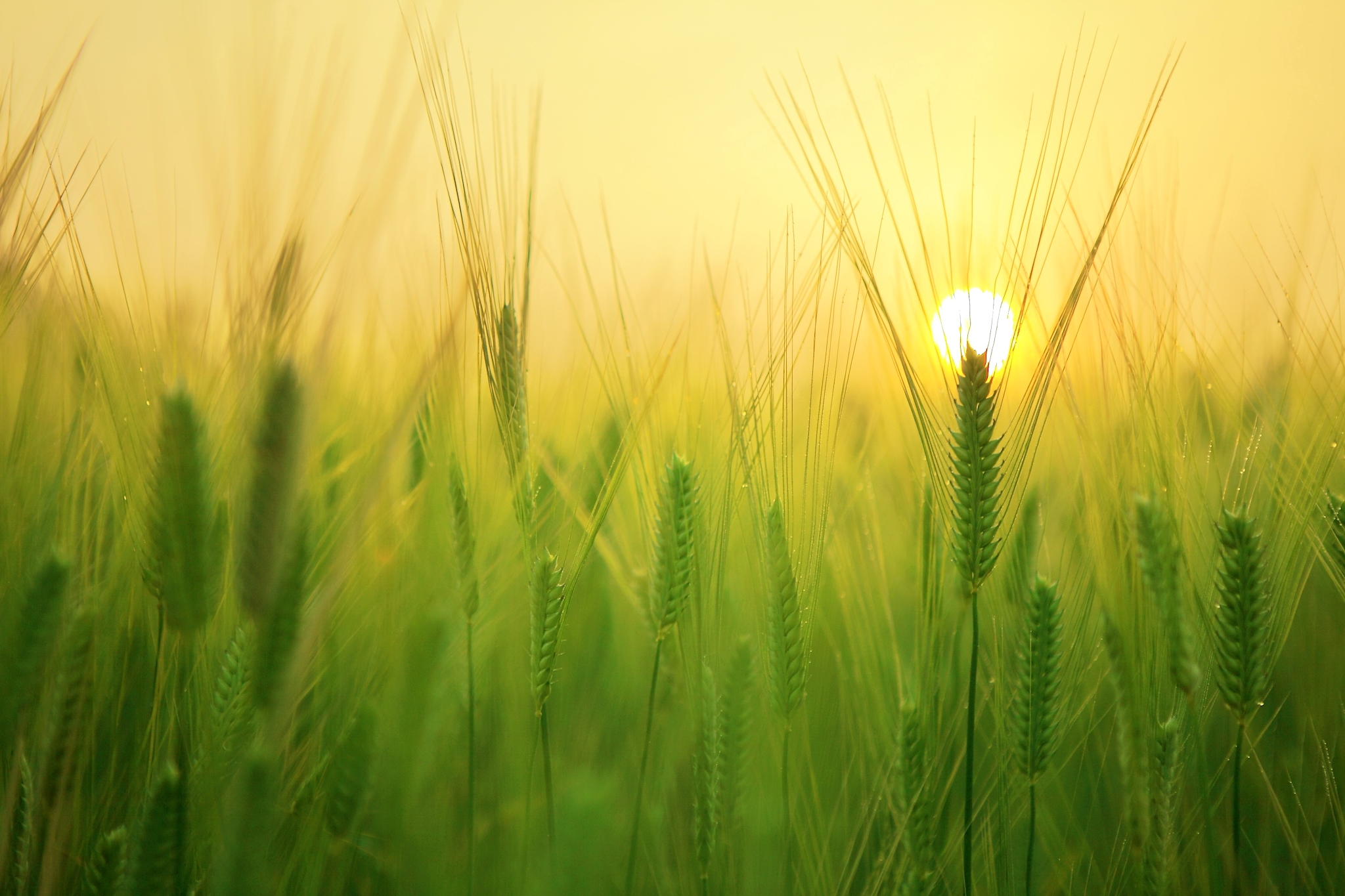 HUMBAN-Sustainable-Development-Goals-development-goals-2030